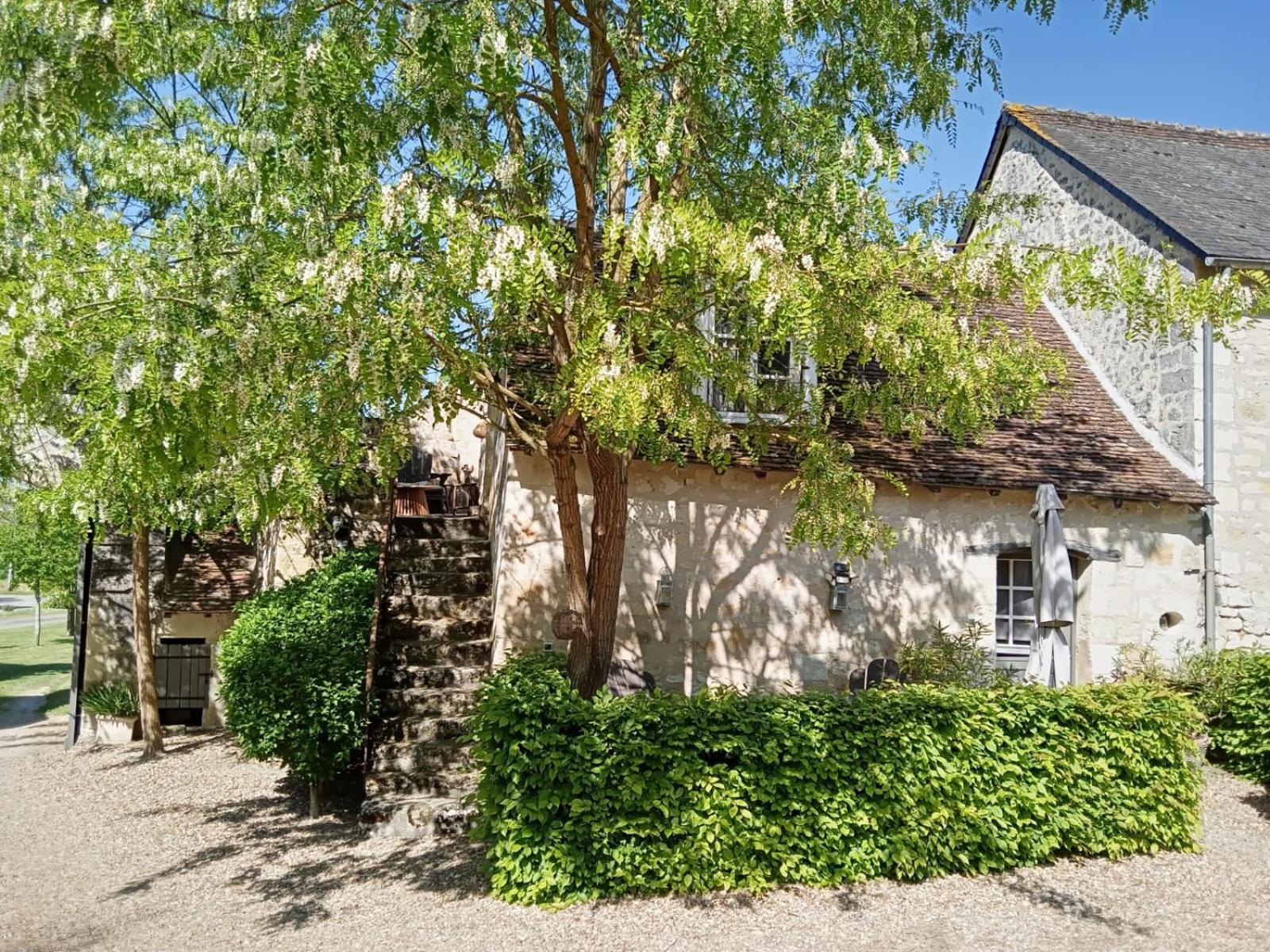 Bed and Breakfast Domaine de Givré Chinon Exterior foto